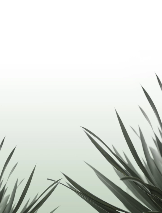 Grass Print